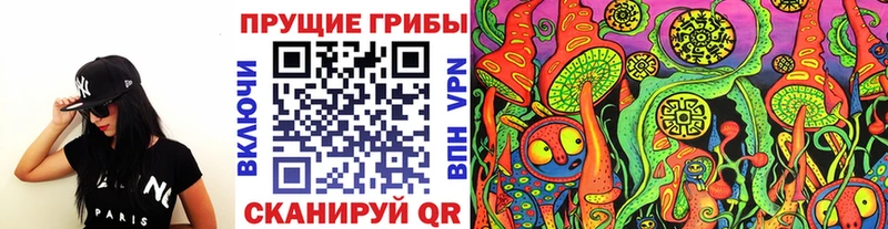 Галлюциногенные грибы Psilocybine cubensis  Спасск-Дальний 